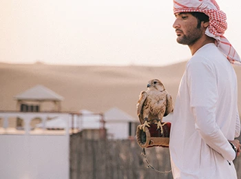Falcon-Trainer