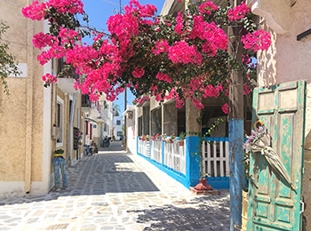 רחוב בכפר היווני קרדמנה באי קוס