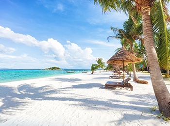 חוף טרופי בגן עדן