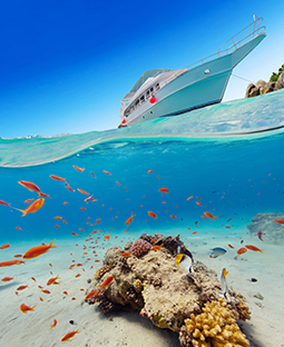 Luxusangebote für die Seychellen