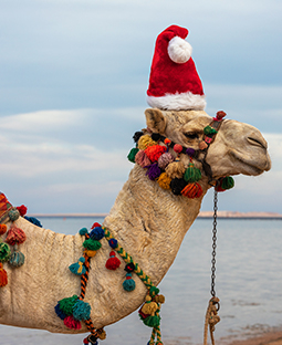 Sommer in Sharm el-Sheikh