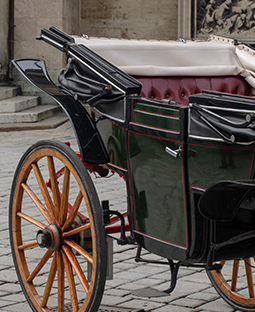 חופשות יוקרתיים לוינה