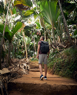 מלונות משתלמים בסיישל