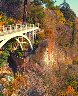 קיץ בטביליסי
